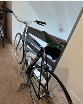 Bici passeggio banchi