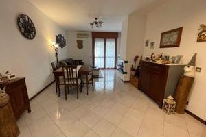 Mirano luminoso appartamento 2 camere