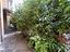 Immagine 10