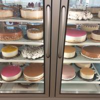 VETRINA FRIGO SEMIFREDDI