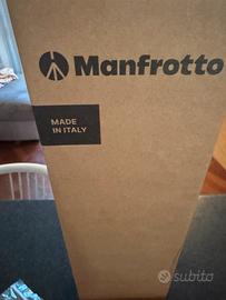 Manfrotto Befree Advanced AS, Camera Tripod