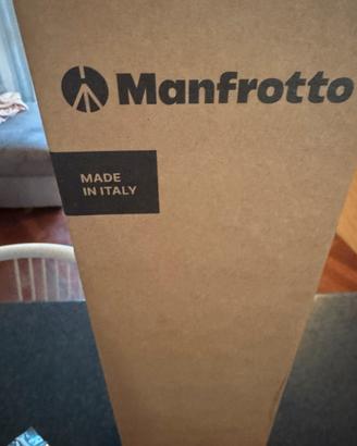 Manfrotto Befree Advanced AS, Camera Tripod