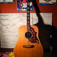 Chitarra Acustica Aria 7450 made in japan lawsuit