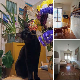 Famagosta M2 - 550 tutto incluso