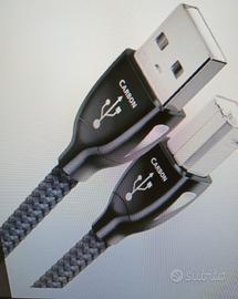 CAVO USB CARBON AUDIOQUEST 0,75 CM