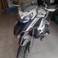 benelli trk502x 