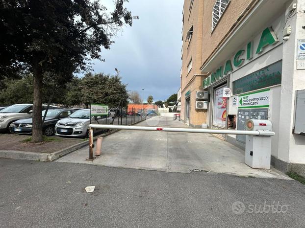 POSTO AUTO A ROMA