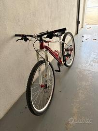 bici muscolare viper x-team
