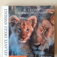 Il leone e il mondo della savana