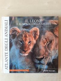Il leone e il mondo della savana