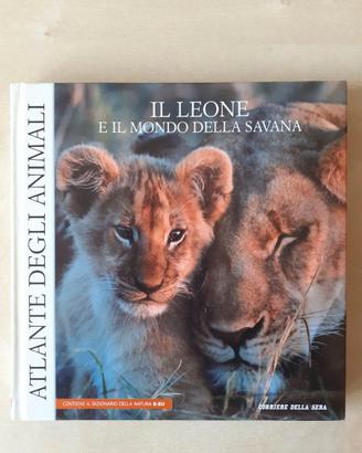Il leone e il mondo della savana