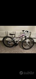 Bici NSR Tecnobike