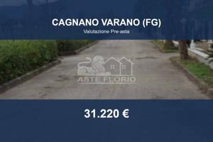 Immobile in asta di 2550 m² a Cagnano Varano