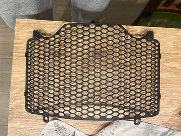 Griglia radiatore ducari Desert X