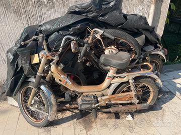 Califfone Rizzato n2