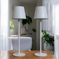 2 lampade led ricaricabili 