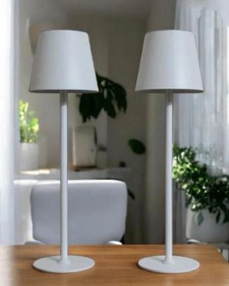 2 lampade led ricaricabili 