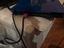 Immagine 2
