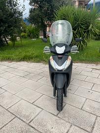Sh 300 sport
