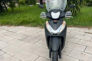 Sh 300 sport