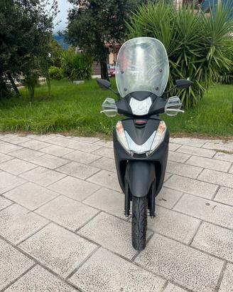 Sh 300 sport