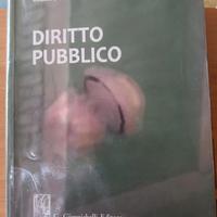 Manuale di Diritto Pubblico, 2020, Bin, Petruzzell