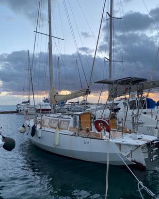 Barca vela
