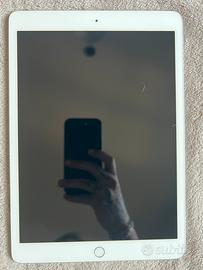 IPad (7 gen) + Apple Pancil