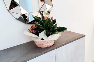 Sabbiadoro vicino alla spiaggia e al centro