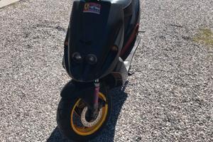 Malaguti phantom f12