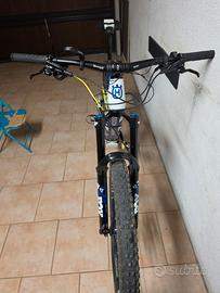 bici elettrica 