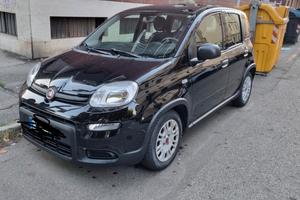 Panda 1.0 hybrid