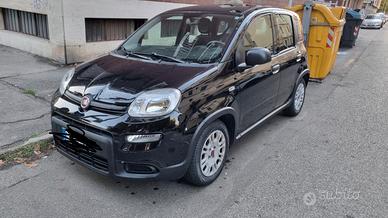 Panda 1.0 hybrid