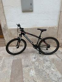 Bottecchia FX 107