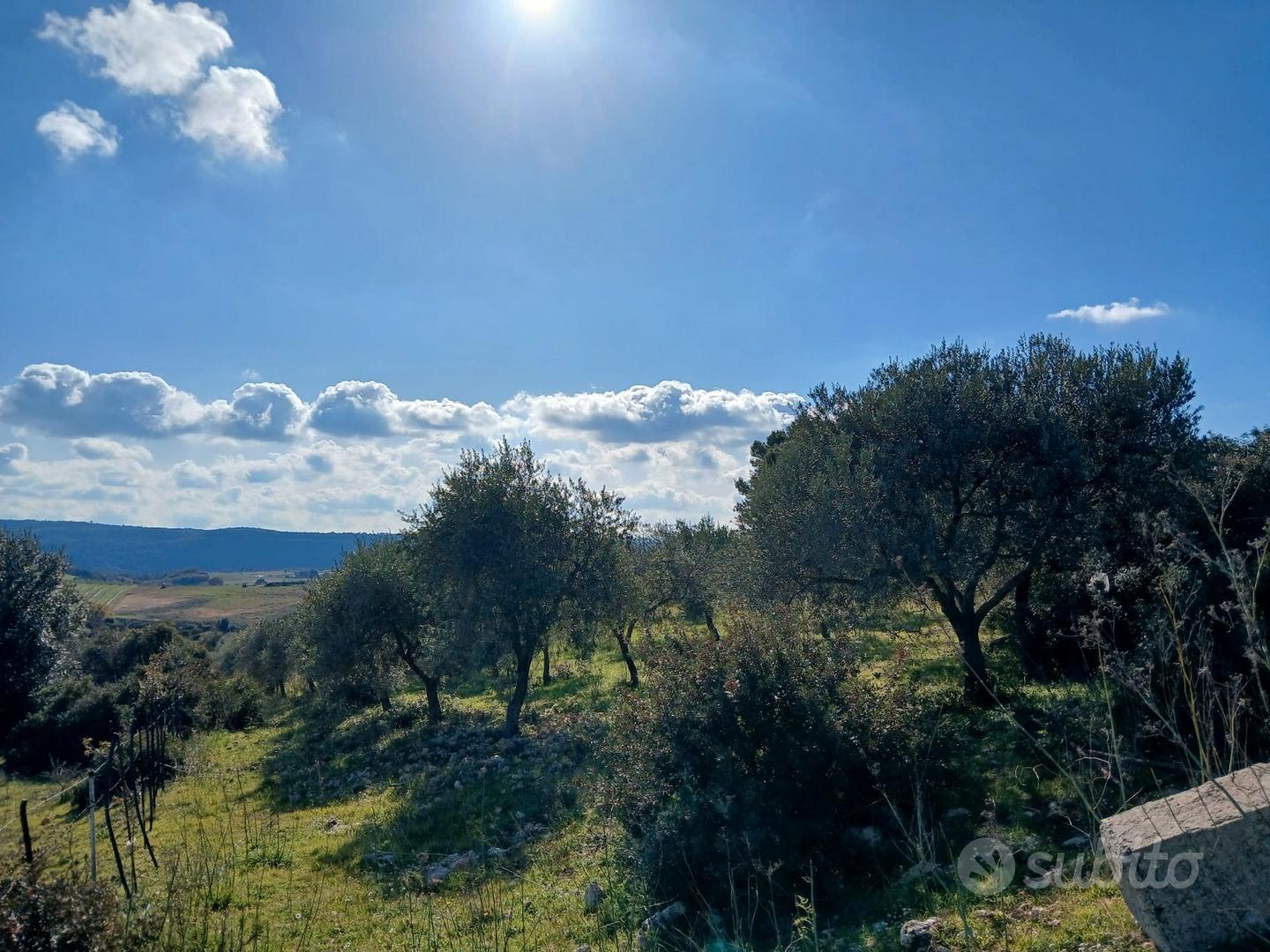 Terreno Agricolo 19.4 Ettari con Caseggiati Rurali - Vista 5