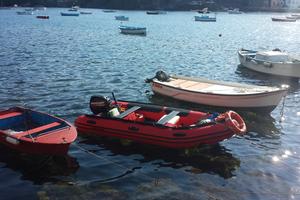 Gommone mercury con motore 25 cv