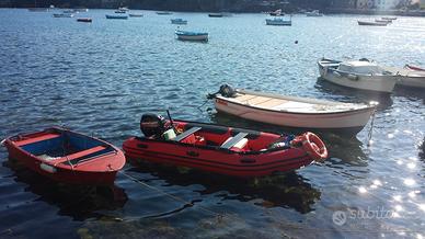Gommone mercury con motore 25 cv