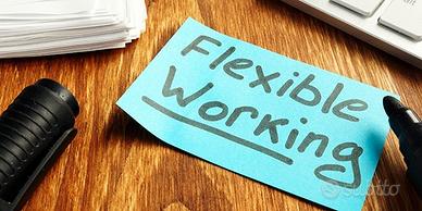 Lavoro flessibile 5/10 h/sett, aiuto studio