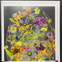 La biologia delle piante di Raven - Evert (e altri