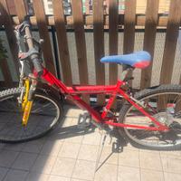 MTB bambina taglia 24