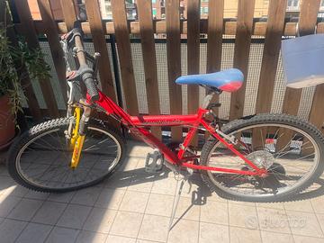 MTB bambina taglia 24