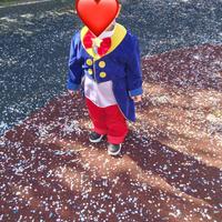 Vestito  veneziano messo una volta con accessori