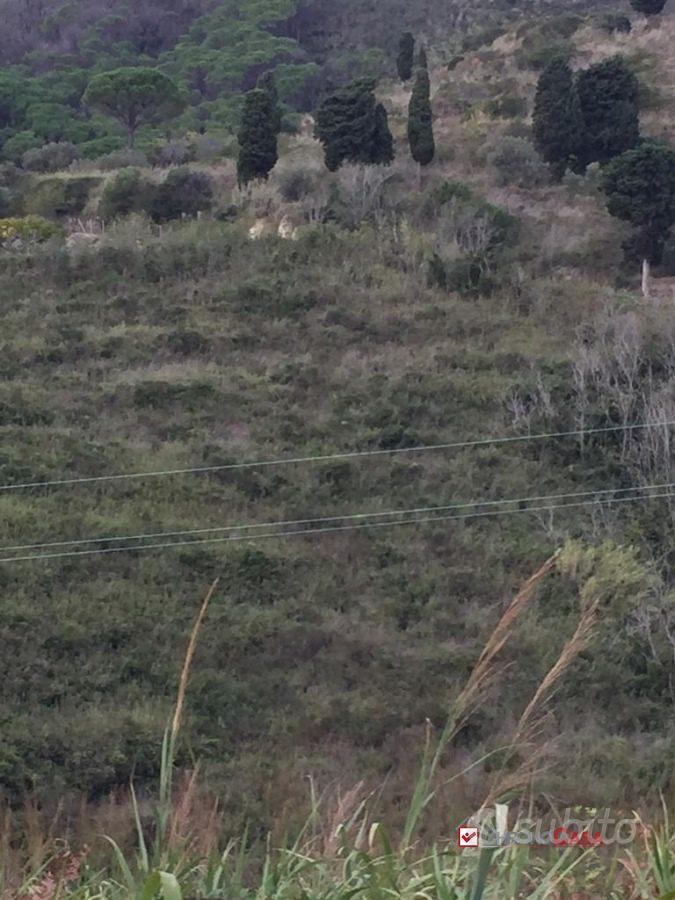 Terreno in contrada Messinese rif. AZO-5025 - Vista 5
