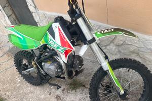 Pitbike rfz 125cc