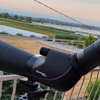 CANNOCCHIALE BRESSER CORVETTE