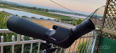 CANNOCCHIALE BRESSER CORVETTE