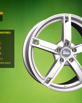 Cerchi in Lega 18" Ds, Volvo, Ford e altri