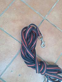 Longia addestramento cavalli corda fune