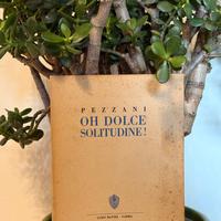 Renzo Pezzani - Oh! Dolce Solitudine - Battei