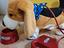 Immagine 1